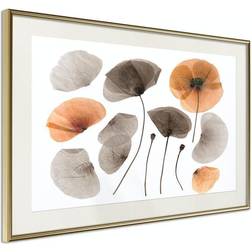 Arkiio Affisch Meadow Herbarium [Poster] 30x20 Poster